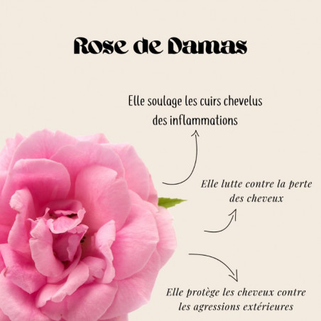 Duo de Soins Cheveux Fins Douceur Nature Sublimo - Shampooing Volume Matière & Fluide Bi-Phase Sublimant Démêlant