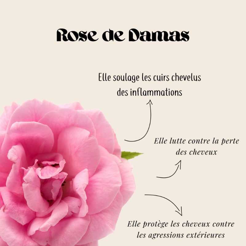 Trio Shampooings Volume et Matière 3x250 ml Rose de Damas - Douceur Nature Sublimo