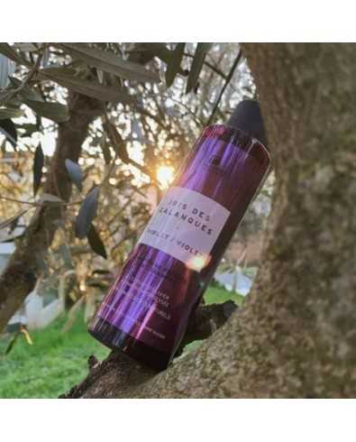 Duo de Soins Repigmentants Violet Iris des Calanques - FAUVERT 2