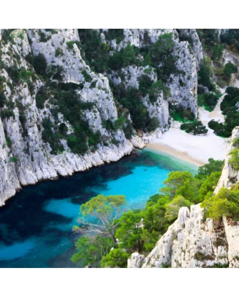 Shampooing Micellaire Quotidien - Rivages FAUVERT | 250 ml