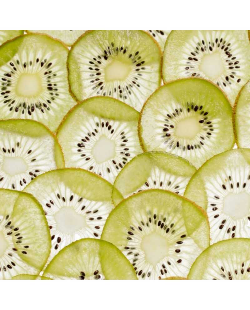 Rituel Quotidien Rivages - FAUVERT | Cheveux Normaux à Secs