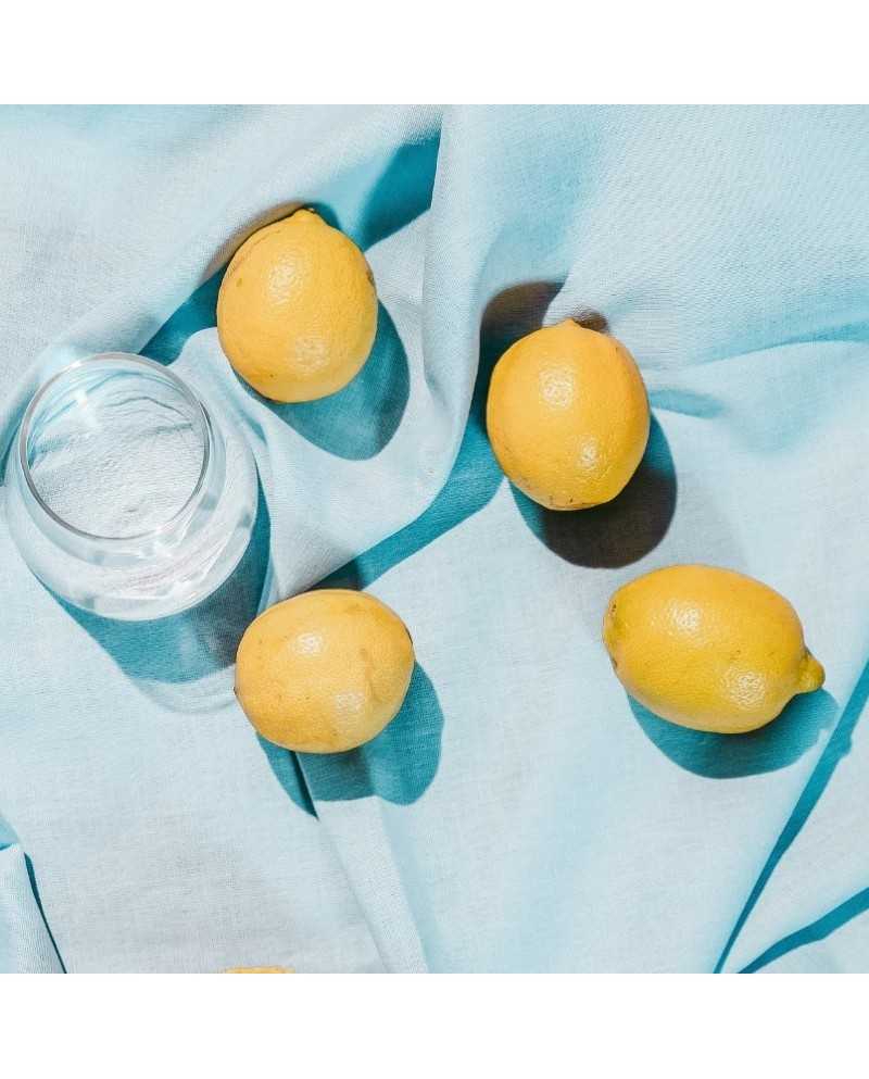 Rituel Détox Rivages - FAUVERT | Cuir Chevelu & Cheveux