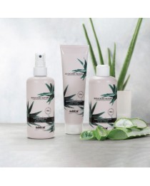 Trio Brume de Définition Boucles Aloe Vera - Douceur Nature SUBLIMO