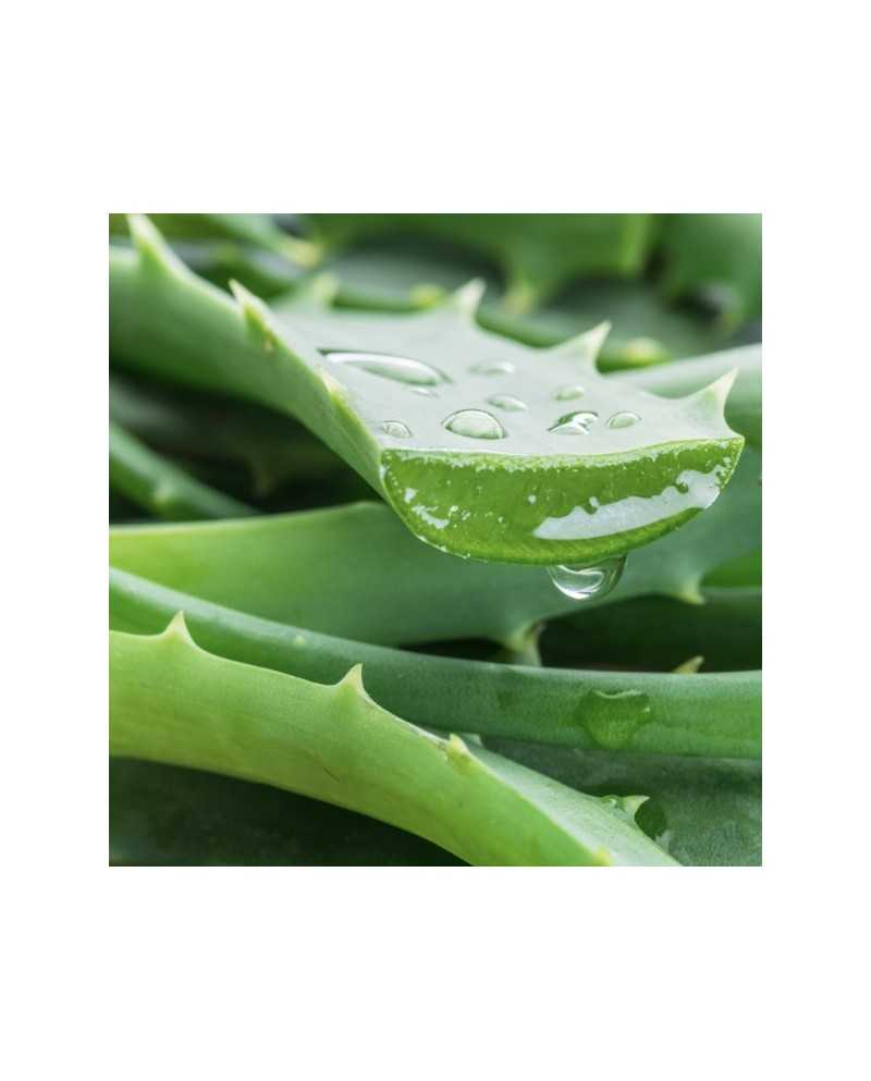 Coffret Cadeau Cheveux Bouclés Aloe Vera - Douceur Nature Sublimo