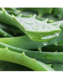 Coffret Cadeau Cheveux Bouclés Aloe Vera - Douceur Nature Sublimo