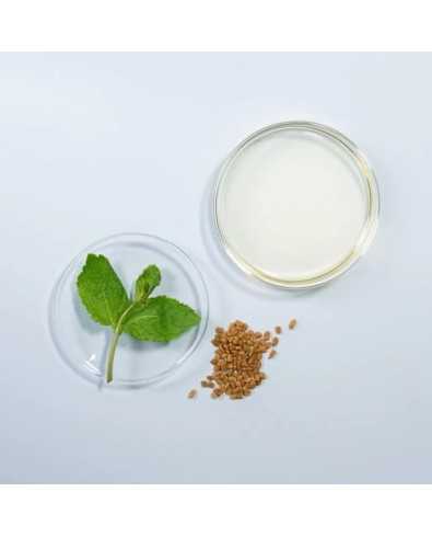 Miracle Oil Huile Fortifiante & Nourrissante 50 ml - In Haircare 2