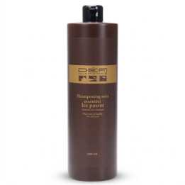 Shampooing Ice Power 1L Défi pour Homme – Cheveux & Barbe